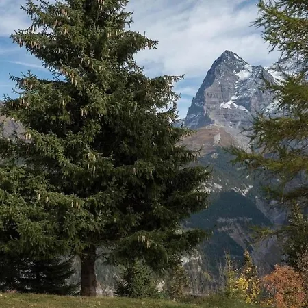 Im Chalet Fluehbluemli *